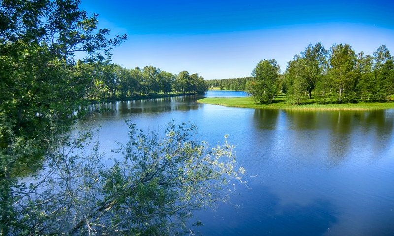 Обои небо, деревья, вода, озеро, река, природа, пейзаж, швеция, the sky, trees, water, lake, river, nature, landscape, sweden разрешение 4320x3240 Загрузить