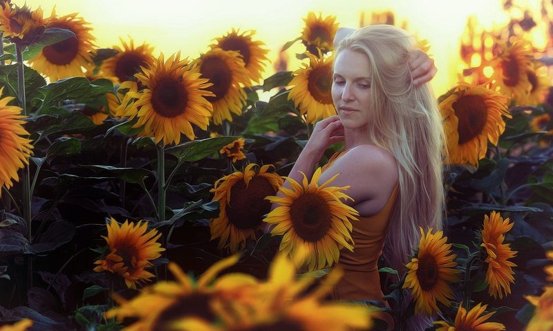 Обои цветы, девушка, блондинка, лето, подсолнухи, flowers, girl, blonde, summer, sunflowers разрешение 2048x1304 Загрузить