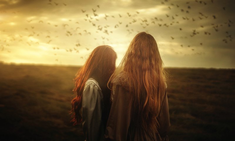 Обои поле, девушки, птицы, волосы, стая, солнечный свет, field, girls, birds, hair, pack, sunlight разрешение 2048x1365 Загрузить