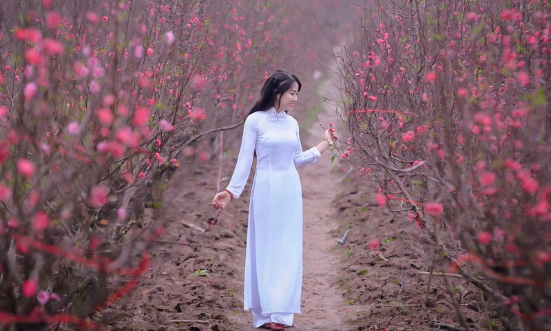 Обои цветение, девушка, сад, модель, весна, в белом, азиатка, flowering, girl, garden, model, spring, in white, asian разрешение 1920x1280 Загрузить