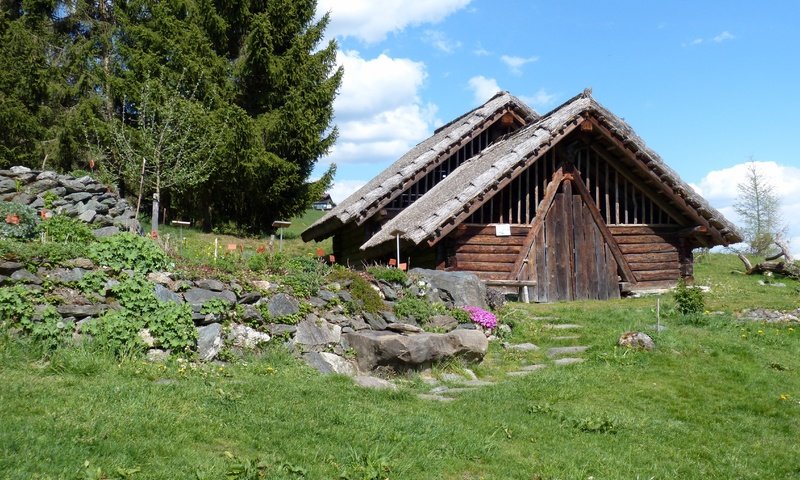 Обои трава, деревня, австрия, хижина, деревня кельтов, хата, grass, village, austria, hut, celtic village разрешение 4608x3072 Загрузить