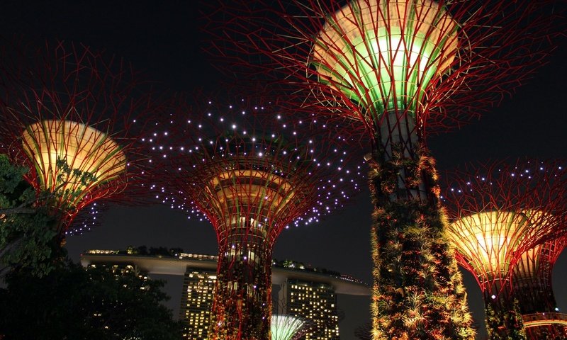 Обои свет, достопримечательность, ночь, сингапур, деревья, креативность, огни, дизайн, азия, фейерверк, освещение, light, attraction, night, singapore, trees, creativity, lights, design, asia, fireworks, lighting разрешение 1920x1280 Загрузить
