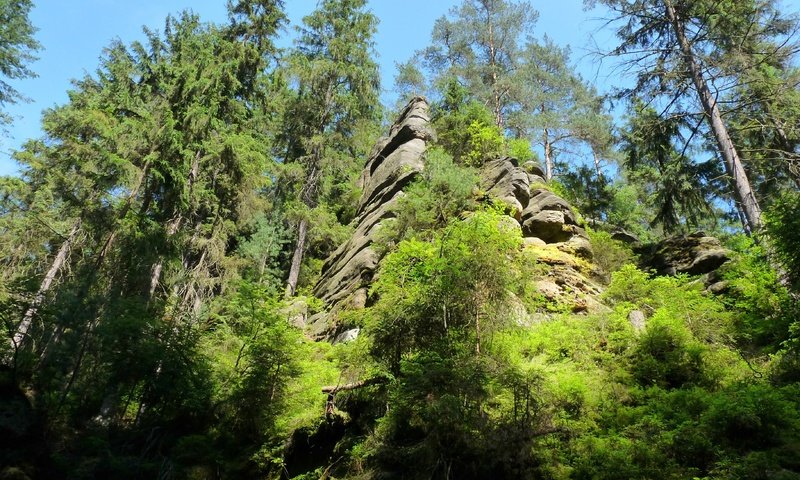 Обои небо, свет, деревья, природа, скала, швейцария, тень, the sky, light, trees, nature, rock, switzerland, shadow разрешение 3648x2736 Загрузить