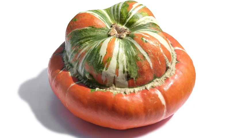 Обои тыква, pumpkin разрешение 4608x3456 Загрузить