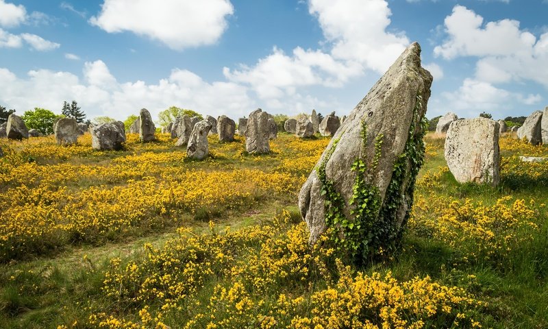 Обои небо, цветы, облака, камни, лето, the sky, flowers, clouds, stones, summer разрешение 5000x3571 Загрузить