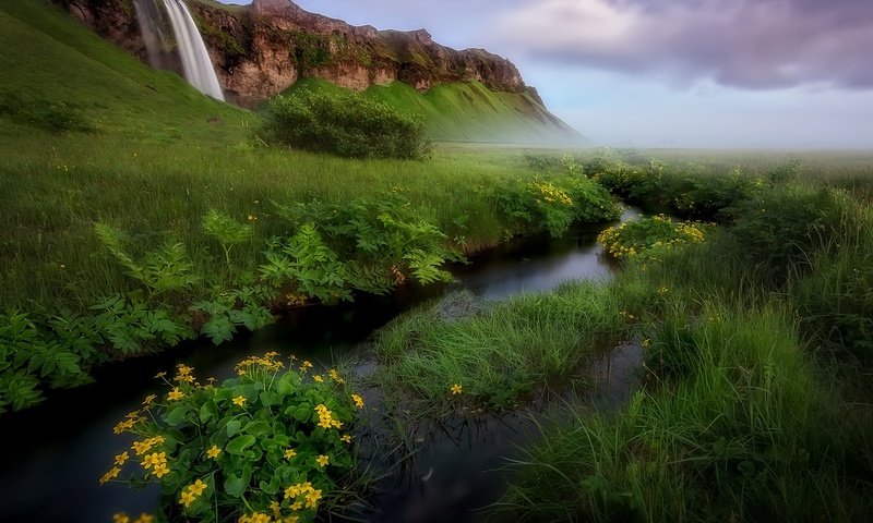 Обои небо, водопад, цветы, трава, облака, река, природа, пейзаж, гора, the sky, waterfall, flowers, grass, clouds, river, nature, landscape, mountain разрешение 2048x1450 Загрузить