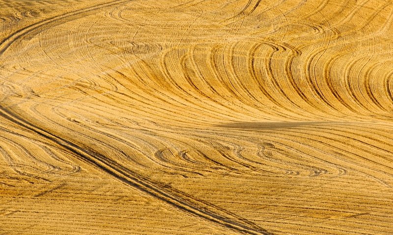 Обои дорога, пейзаж, поле, road, landscape, field разрешение 5459x2730 Загрузить