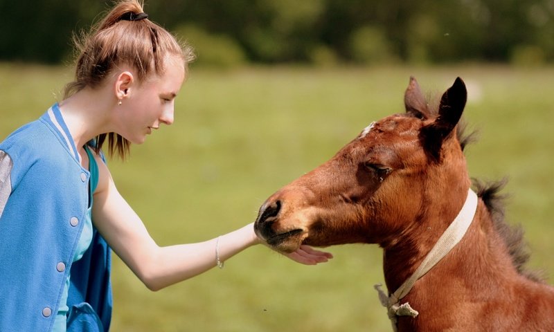 Обои лошадь, природа, девушка, настроение, конь, дружба, жеребенок, контакт, horse, nature, girl, mood, friendship, foal, contact разрешение 3088x2056 Загрузить