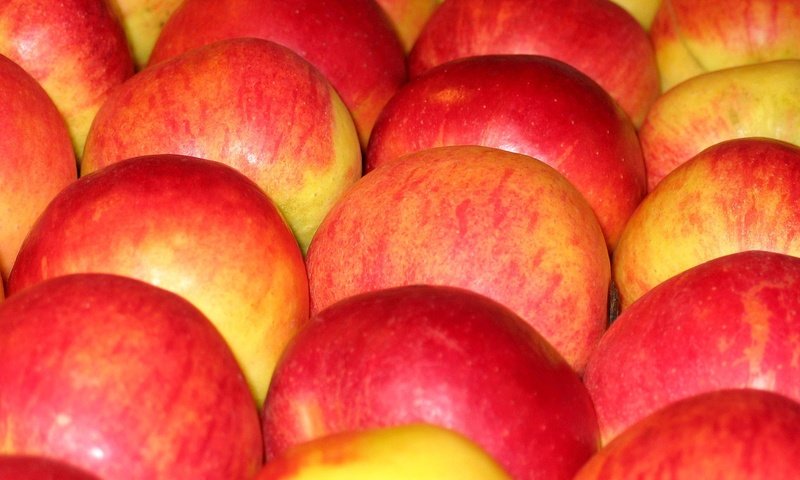 Обои фрукты, яблоки, плоды, fruit, apples разрешение 2272x1704 Загрузить