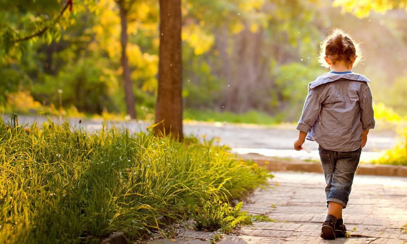 Обои трава, деревья, парк, осень, дети, девочка, спина, ребенок, grass, trees, park, autumn, children, girl, back, child разрешение 1920x1080 Загрузить