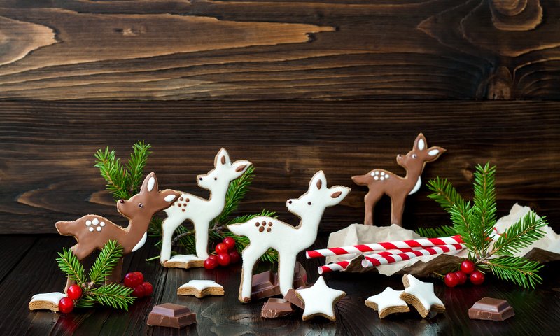 Обои олени, рождество, шоколад, сладкое, печенье, deer, christmas, chocolate, sweet, cookies разрешение 4752x3168 Загрузить
