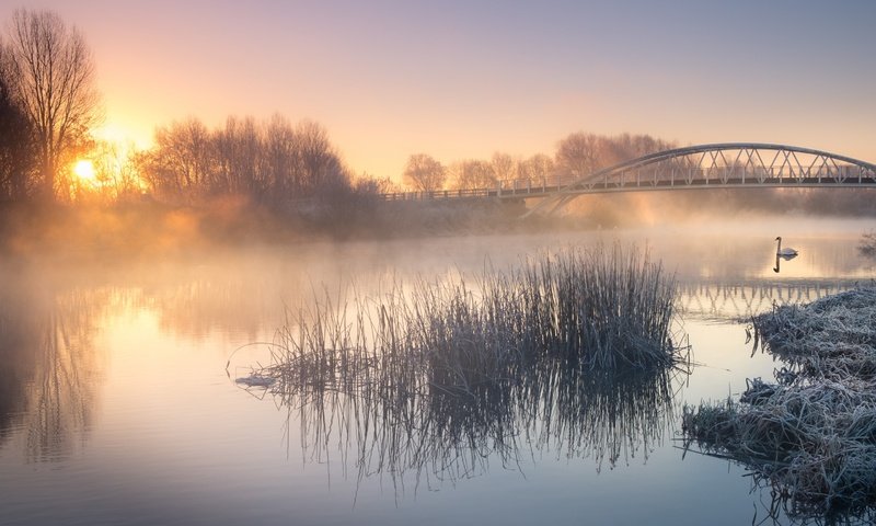 Обои река, природа, пейзаж, утро, туман, мост, птица, лебедь, river, nature, landscape, morning, fog, bridge, bird, swan разрешение 2880x1800 Загрузить