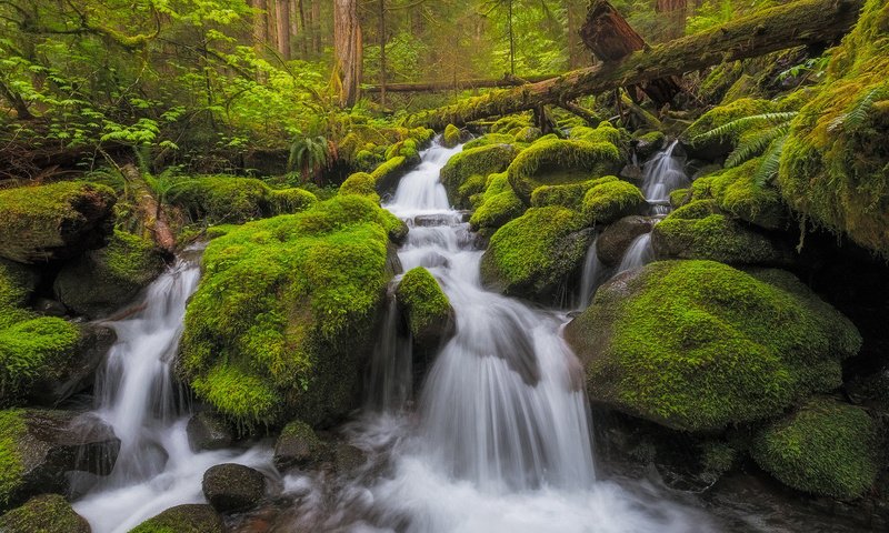 Обои река, природа, камни, водопад, мох, river, nature, stones, waterfall, moss разрешение 1920x1200 Загрузить