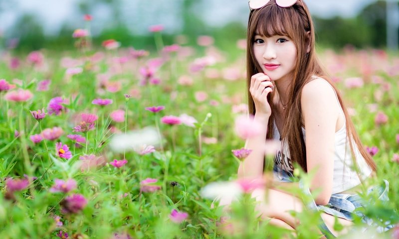 Обои цветы, девушка, поле, взгляд, волосы, азиатка, боке, flowers, girl, field, look, hair, asian, bokeh разрешение 2048x1365 Загрузить