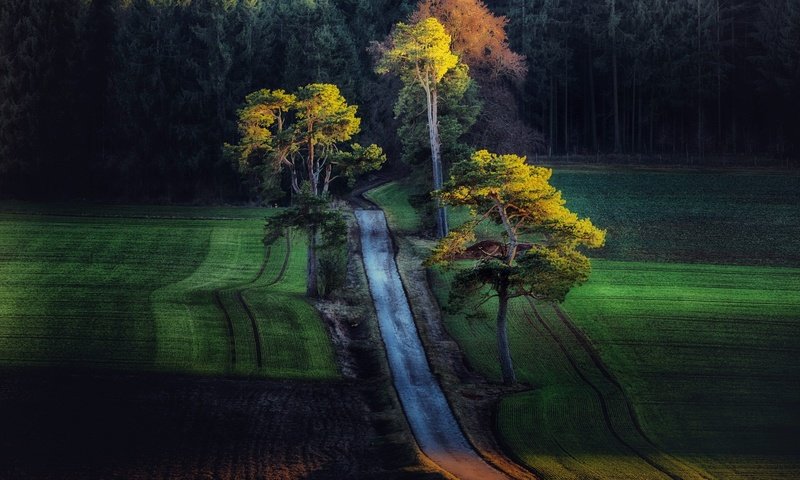 Обои дорога, деревья, лес, поля, поле, осень, road, trees, forest, field, autumn разрешение 2048x1336 Загрузить