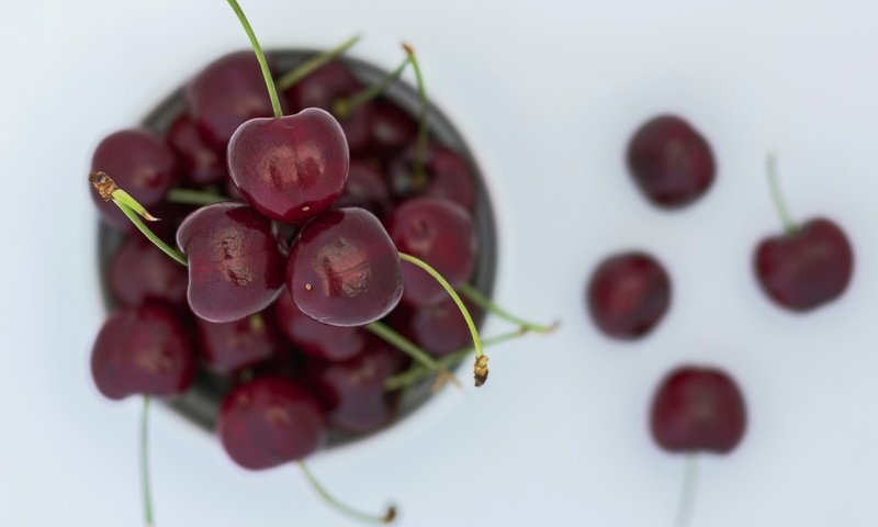 Обои макро, черешня, ягоды, вишня, вишни, macro, cherry, berries разрешение 2048x1419 Загрузить