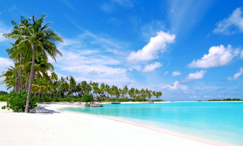 Обои море, пляж, тропики, мальдивы, sea, beach, tropics, the maldives разрешение 4256x2848 Загрузить