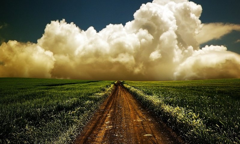 Обои небо, горизонт, дорога, трава, облака, природа, пейзаж, утро, поле, the sky, horizon, road, grass, clouds, nature, landscape, morning, field разрешение 1920x1200 Загрузить