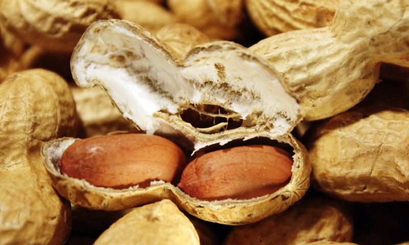 Обои орехи, скорлупа, арахис, земляной орех, nuts, shell, peanuts, groundnuts разрешение 4000x2667 Загрузить