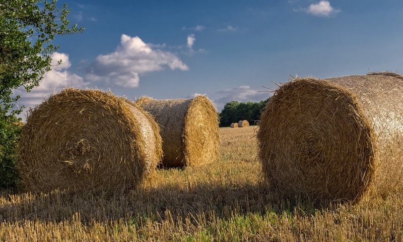 Обои небо, тюки, облака, рулоны, природа, пейзаж, поле, сено, лето, солома, the sky, bales, clouds, rolls, nature, landscape, field, hay, summer, straw разрешение 2048x1205 Загрузить