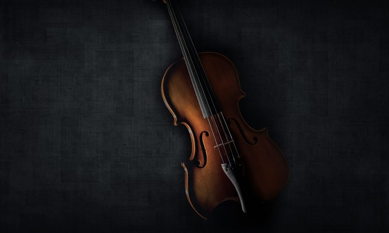 Обои скрипка, струны, черный фон, музыкальный инструмент, violin, strings, black background, musical instrument разрешение 2880x2560 Загрузить