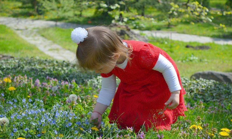 Обои цветы, природа, дети, девочка, ребенок, полевые цветы, flowers, nature, children, girl, child, wildflowers разрешение 3000x1897 Загрузить