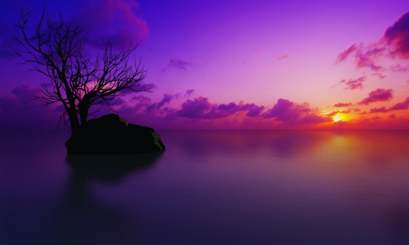Обои небо, облака, вода, дерево, закат, камень, мальдивы, the sky, clouds, water, tree, sunset, stone, the maldives разрешение 2560x1600 Загрузить