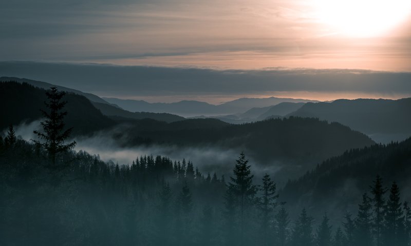 Обои деревья, горы, лес, пейзаж, туман, норвегия, trees, mountains, forest, landscape, fog, norway разрешение 4903x3369 Загрузить