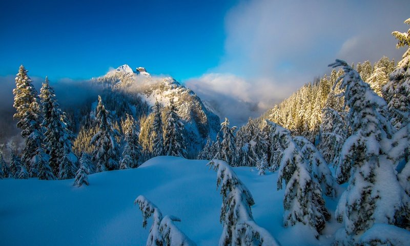 Обои небо, деревья, горы, снег, природа, лес, зима, солнечный день, the sky, trees, mountains, snow, nature, forest, winter, sunny day разрешение 3600x2400 Загрузить