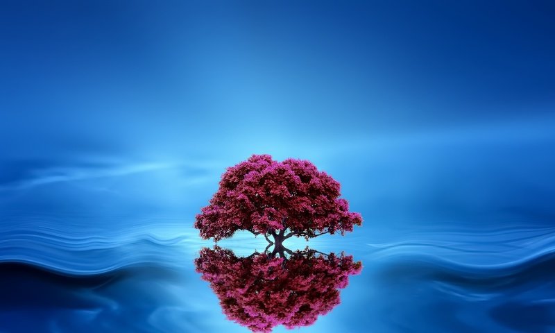 Обои дерево, отражение, фон, волна, tree, reflection, background, wave разрешение 2048x1152 Загрузить