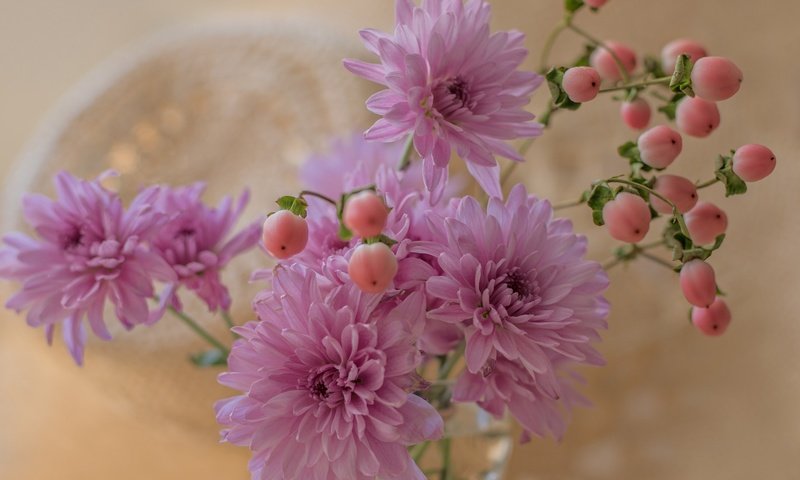 Обои цветы, лепестки, букет, хризантемы, хризантема, flowers, petals, bouquet, chrysanthemum разрешение 2048x1396 Загрузить