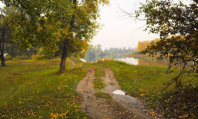 Обои дорога, природа, пейзаж, осень, road, nature, landscape, autumn разрешение 1920x1200 Загрузить