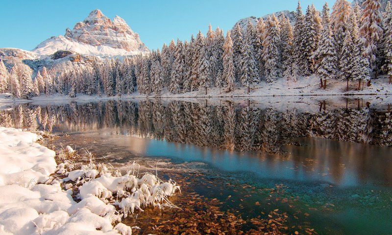 Обои деревья, река, горы, снег, природа, лес, зима, отражение, trees, river, mountains, snow, nature, forest, winter, reflection разрешение 1920x1200 Загрузить