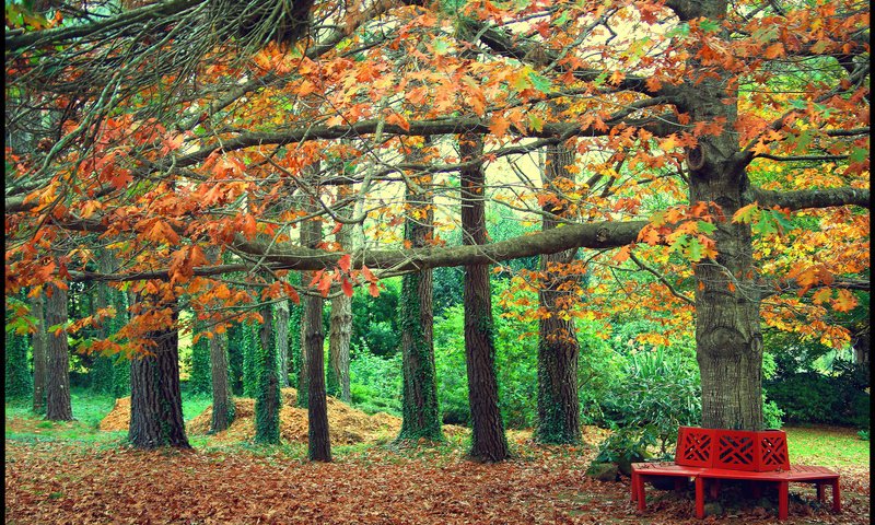Обои деревья, листья, парк, осень, скамейка, trees, leaves, park, autumn, bench разрешение 2048x1374 Загрузить