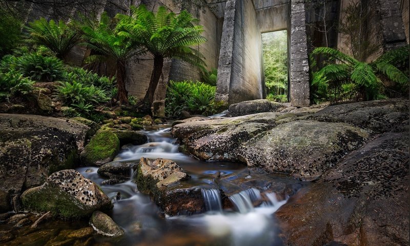 Обои вода, листья, водопад, осень, поток, пальмы, water, leaves, waterfall, autumn, stream, palm trees разрешение 2048x1365 Загрузить