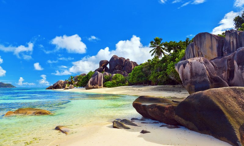 Обои море, пляж, тропики, сейшелы, sea, beach, tropics, seychelles разрешение 4246x2827 Загрузить