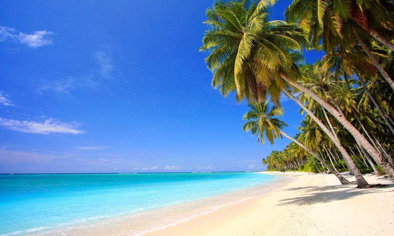 Обои море, пляж, тропики, 4, sea, beach, tropics разрешение 7512x4226 Загрузить