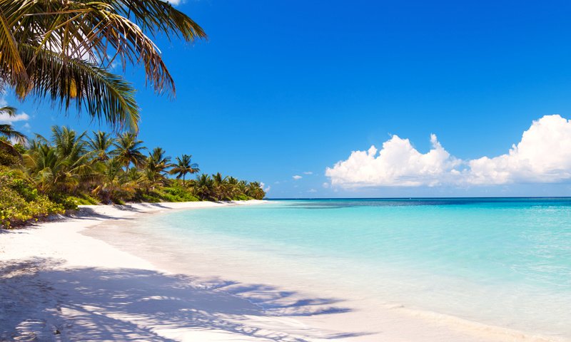Обои море, пляж, тропики, 7, sea, beach, tropics разрешение 4992x3744 Загрузить