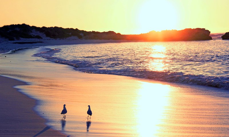 Обои закат, море, пляж, мама, sunset, sea, beach, mom разрешение 5184x3456 Загрузить