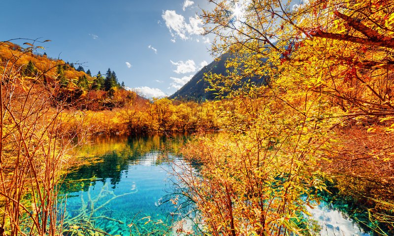 Обои небо, деревья, река, природа, лес, гора, осень, the sky, trees, river, nature, forest, mountain, autumn разрешение 3840x2400 Загрузить