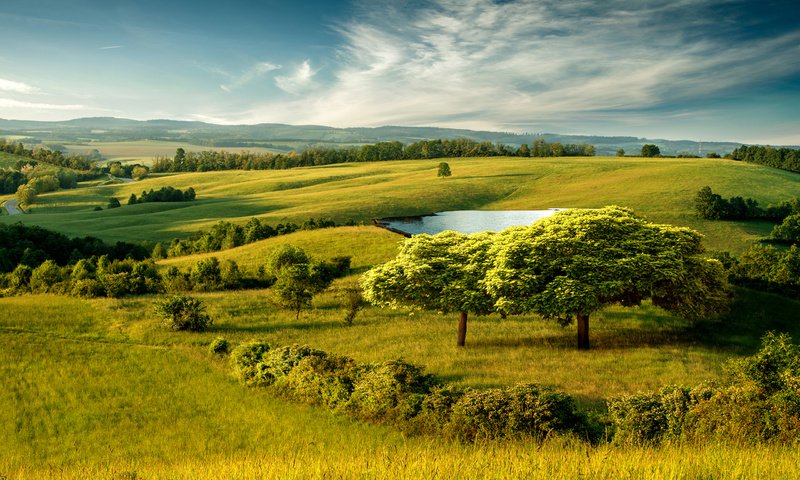 Обои деревья, холмы, природа, кусты, долина, trees, hills, nature, the bushes, valley разрешение 2560x1600 Загрузить