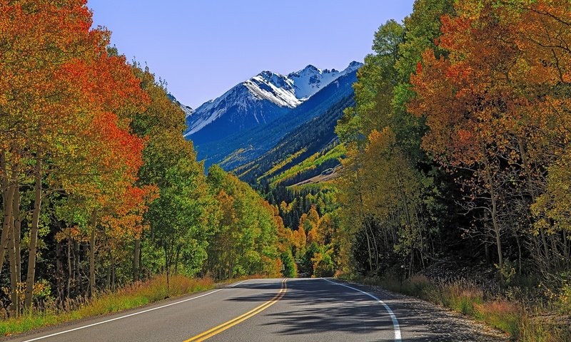 Обои дорога, деревья, горы, осень, сша, колорадо, лайзард хед пасс, road, trees, mountains, autumn, usa, colorado, lizard head pass разрешение 2048x1201 Загрузить