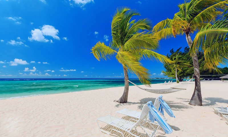 Обои море, пляж, тропики, sea, beach, tropics разрешение 5760x3840 Загрузить