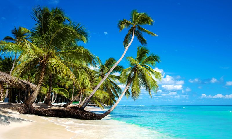 Обои море, пляж, тропики, sea, beach, tropics разрешение 7000x4700 Загрузить