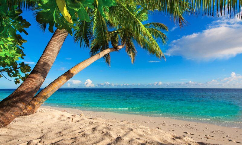 Обои море, пляж, тропики, sea, beach, tropics разрешение 6440x4294 Загрузить