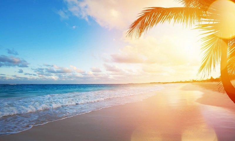Обои закат, море, пляж, тропики, sunset, sea, beach, tropics разрешение 6184x3496 Загрузить