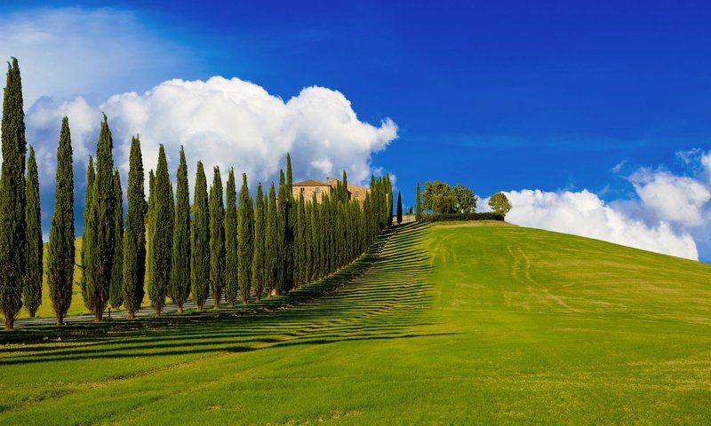 Обои холмы, пейзаж, италия, ферма, тоскана, кипарисы, hills, landscape, italy, farm, tuscany, cypress разрешение 1920x1200 Загрузить