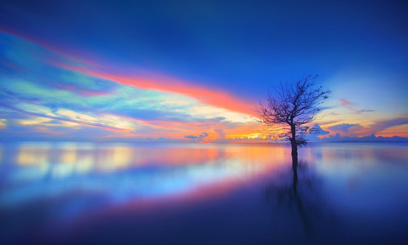 Обои небо, облака, озеро, дерево, закат, отражение, пейзаж, chaiyun, the sky, clouds, lake, tree, sunset, reflection, landscape разрешение 1920x1200 Загрузить