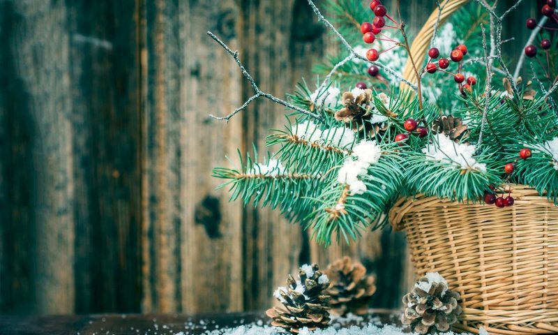 Обои новый год, елка, ветки, корзина, рождество, шишки, new year, tree, branches, basket, christmas, bumps разрешение 1920x1200 Загрузить