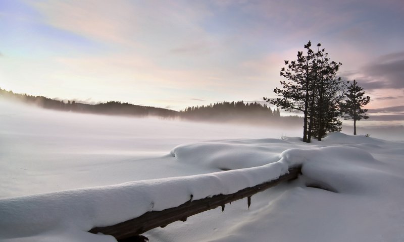 Обои снег, природа, зима, пейзаж, забор, strahil dimitrov, snow, nature, winter, landscape, the fence разрешение 3840x2400 Загрузить